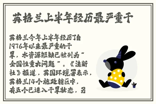 国产精品理论片在线观看日韩